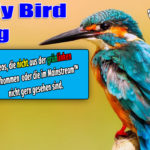 _twitter-earlybird-videonews